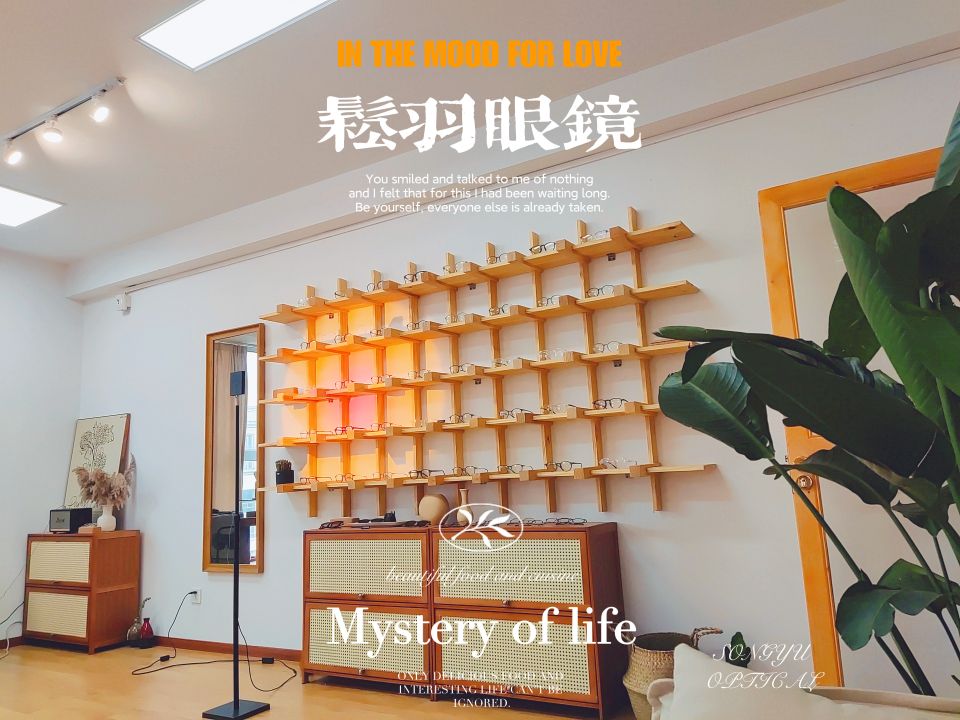 SONGYU松羽美学眼镜