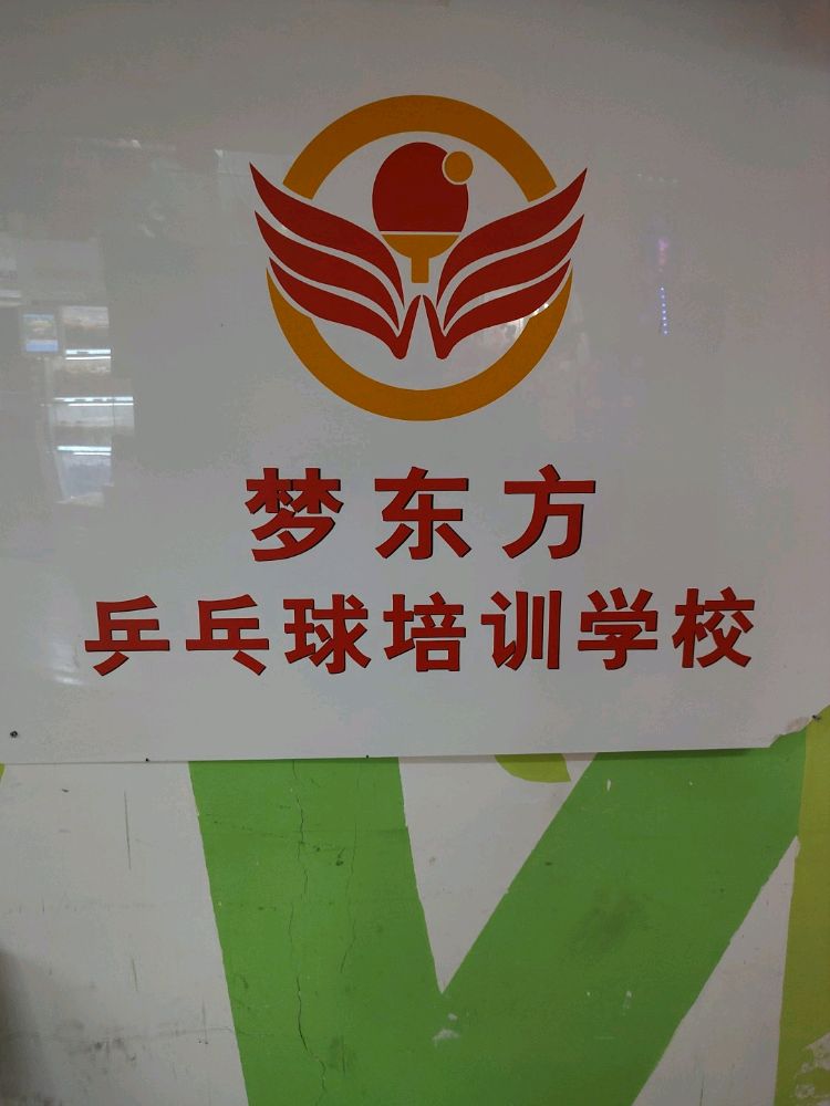 梦东风·运动仔乒乓球