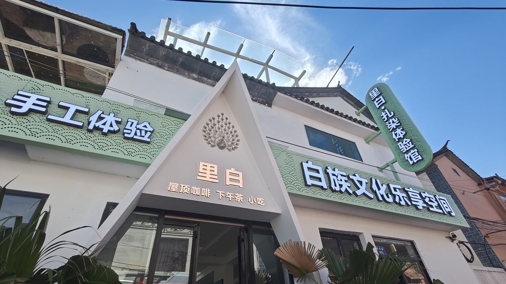 里白绿植coffee