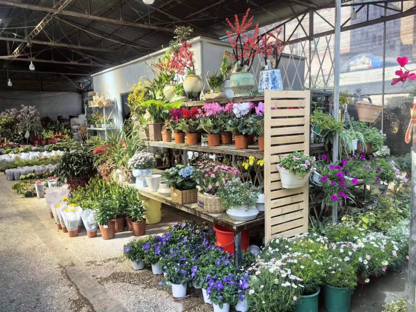 小英家花木厂(江北店)