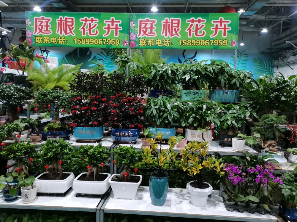 昌吉市庭根花卉