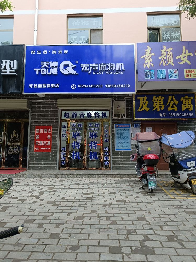 天雀无声麻将机(环县直营体验店)