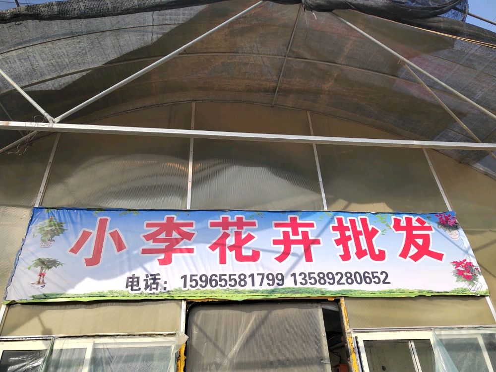 小李花卉批发