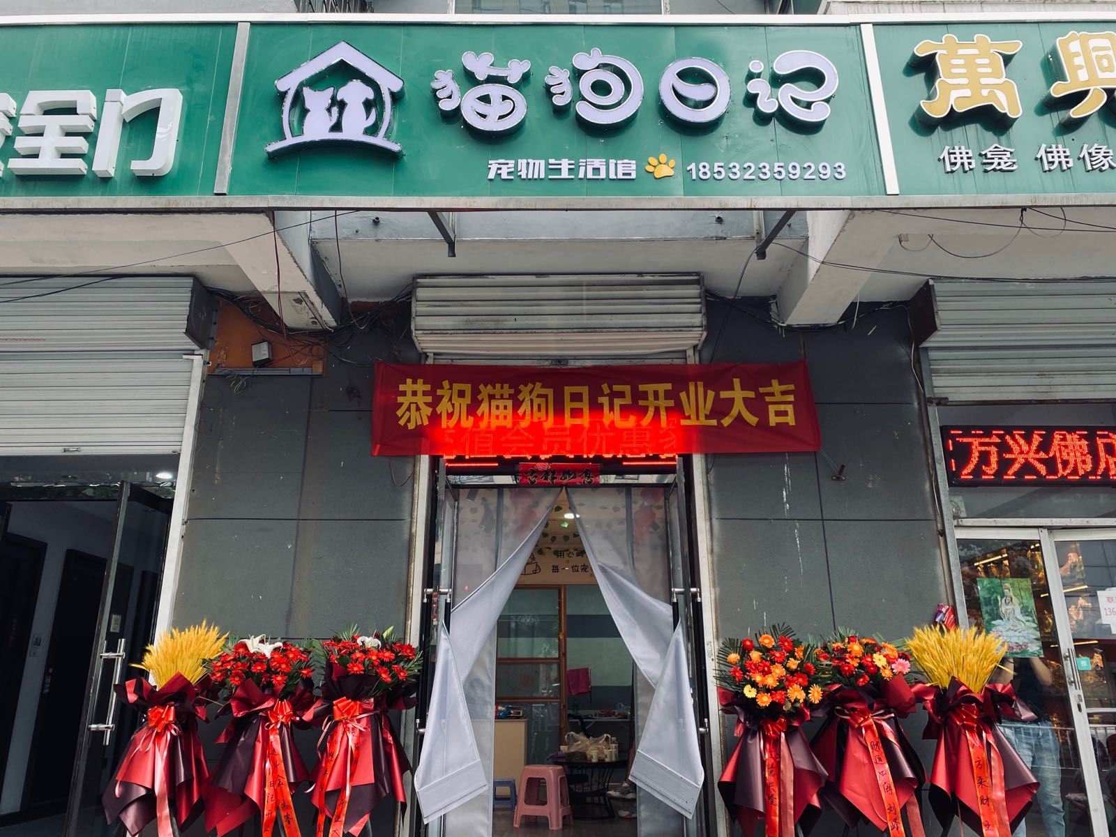 猫狗日记宠物生活馆(平阳路店)