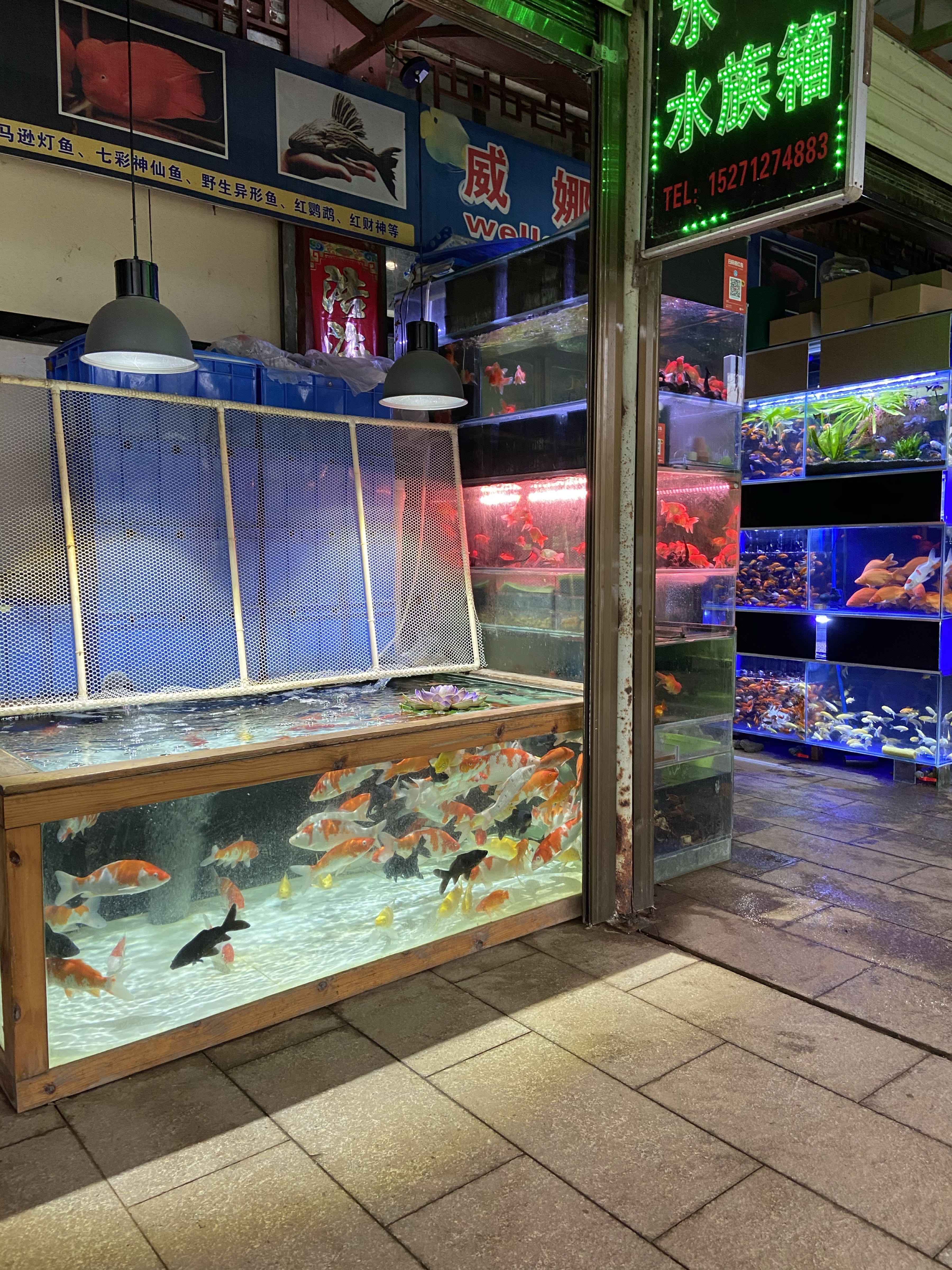 威娜水族馆