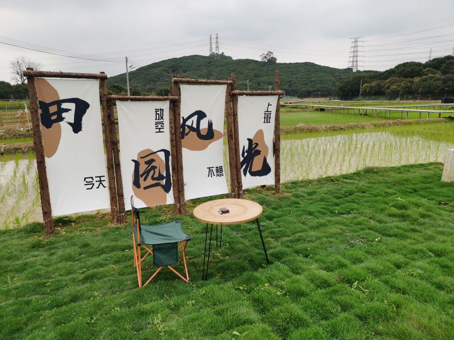 小马农场·亲子活动·田园烧烤野炊·露营团建