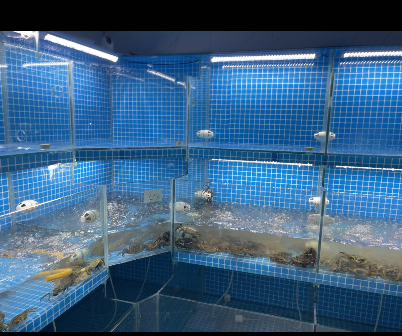 千语水产经营部