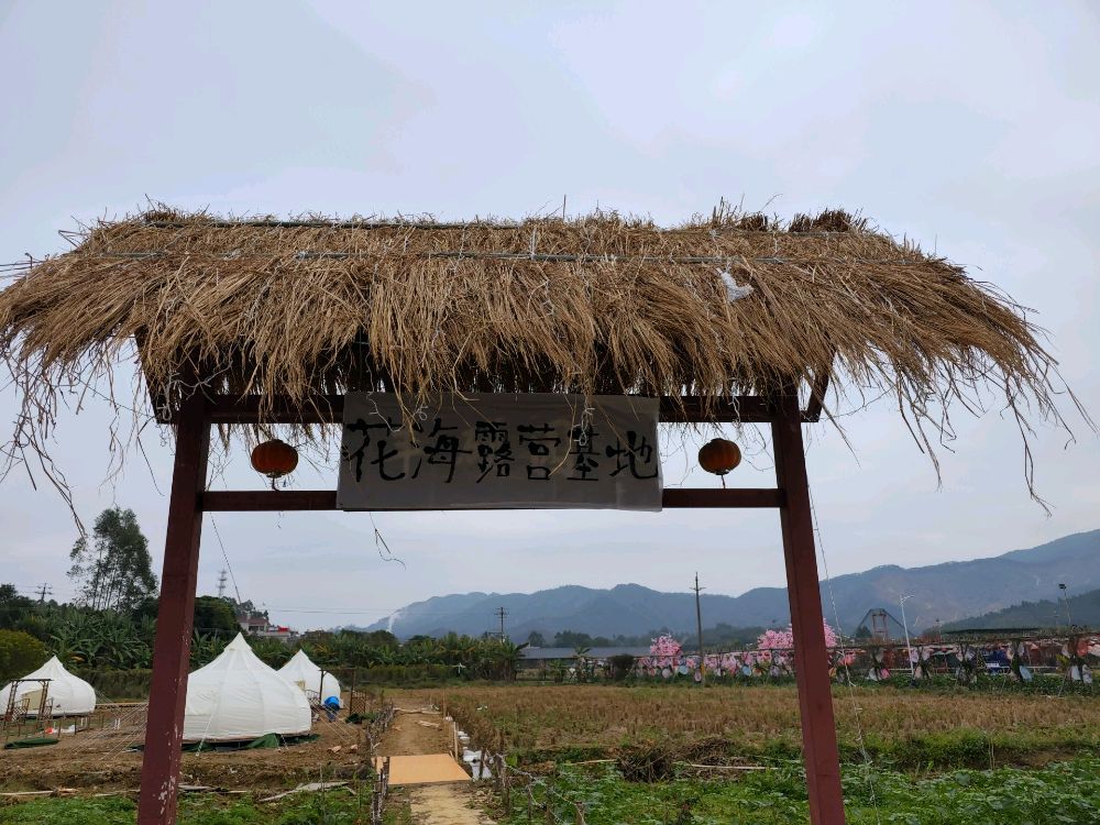 花海露营地地