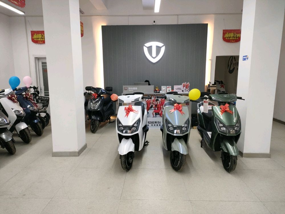 登封市台铃电动车(嵩山路店)