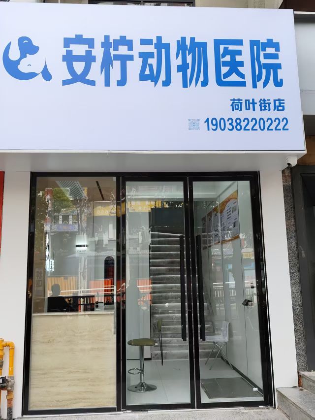 安柠动物医院荷叶街店(24H急诊)