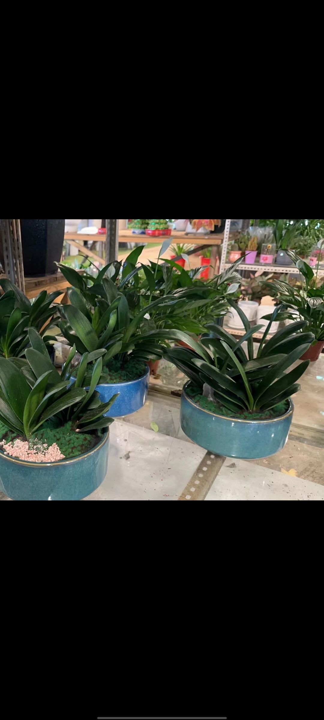 湘香花艺鲜花(天元店)