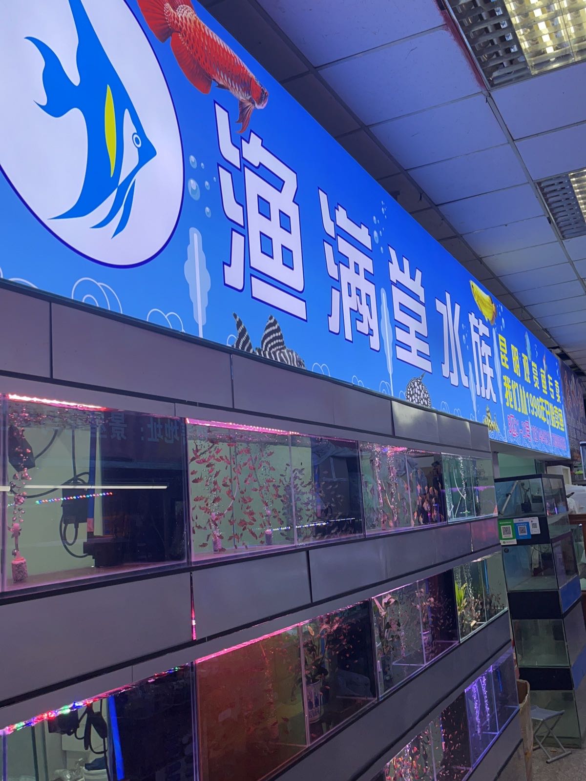 渔满堂水族(景星花鸟市场店)
