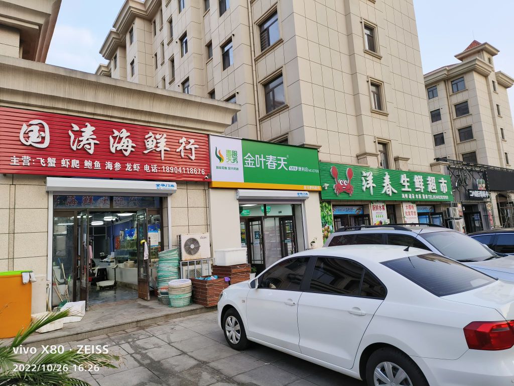 金叶春天淮MINI(金马店)
