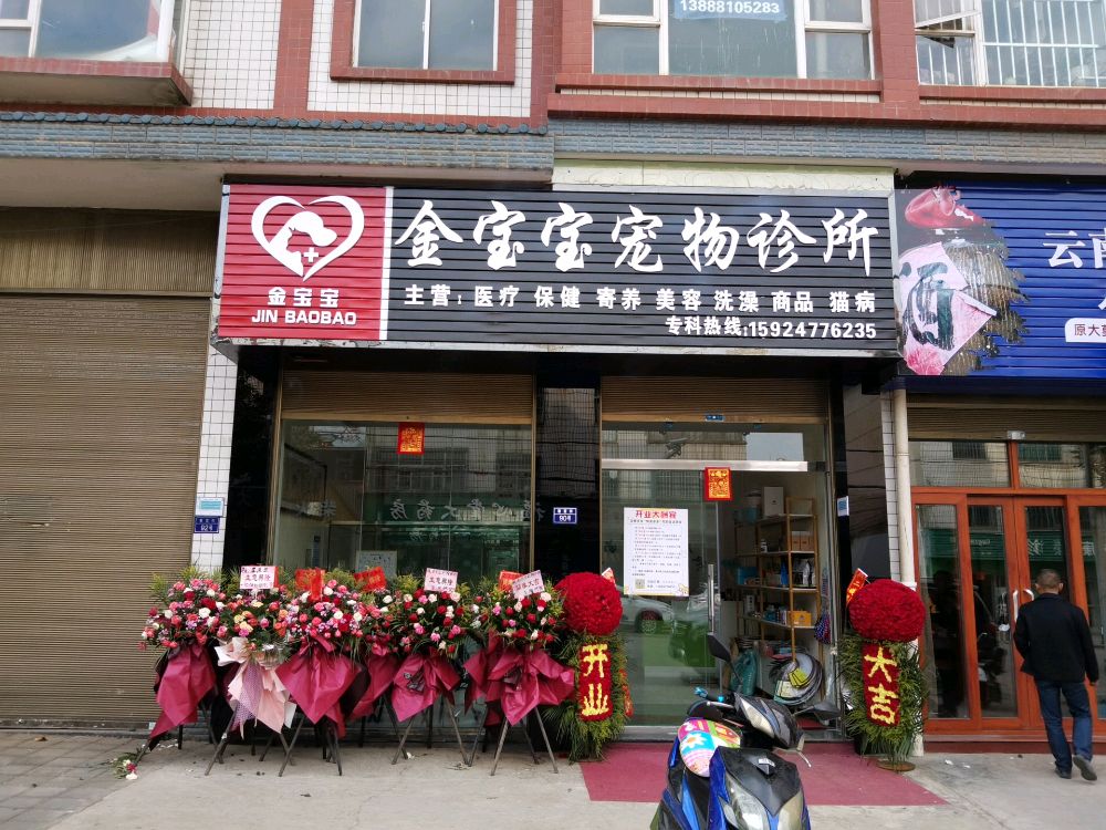 陆良金宝宝宠物诊所