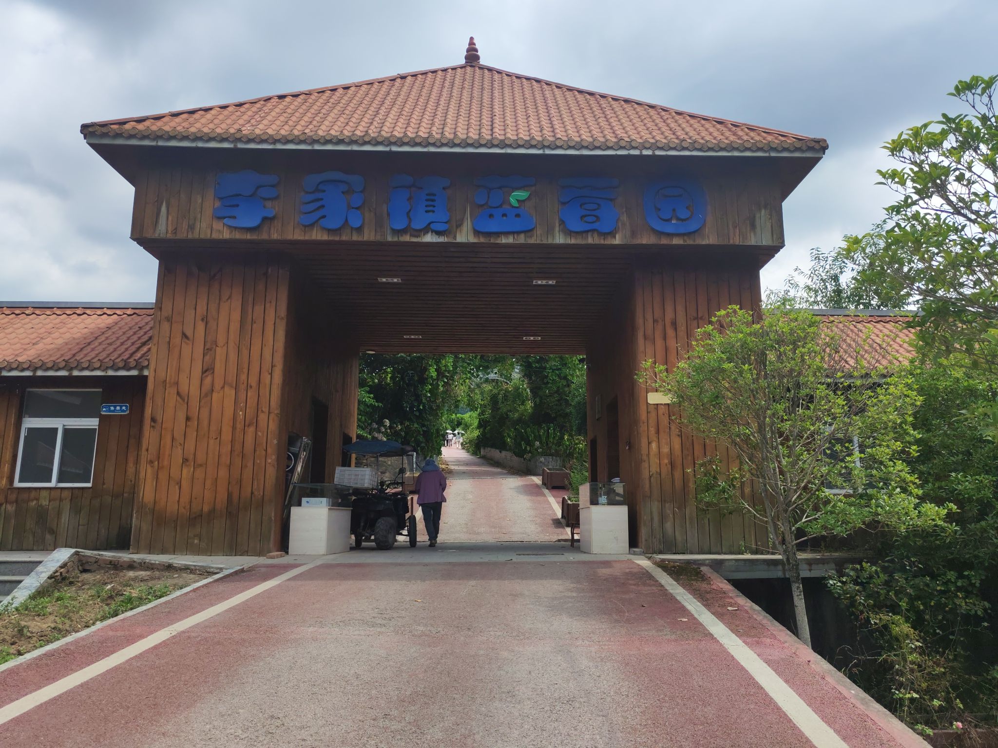 李家镇蓝莓园