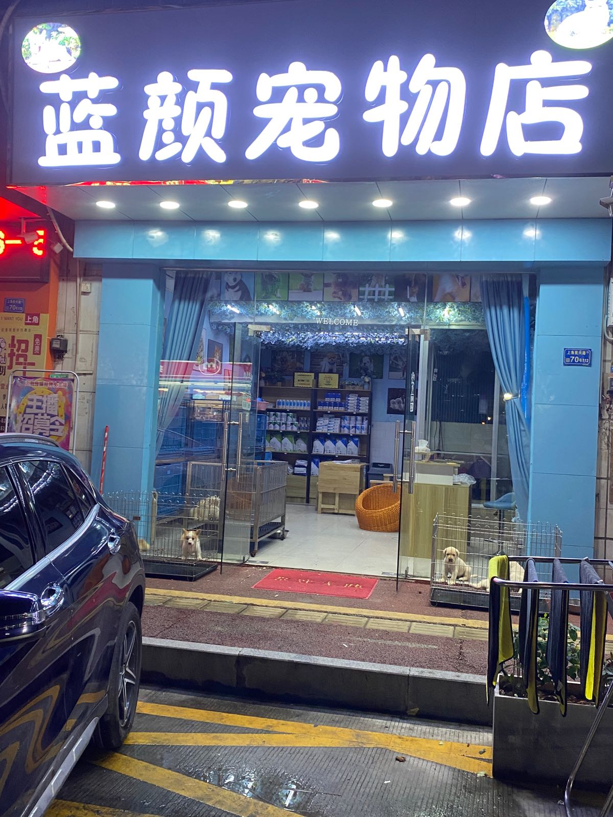 蓝颜宠物店