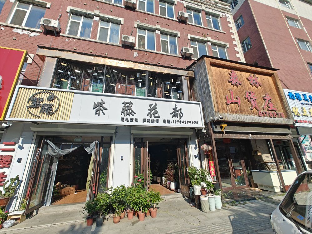 紫藤花都