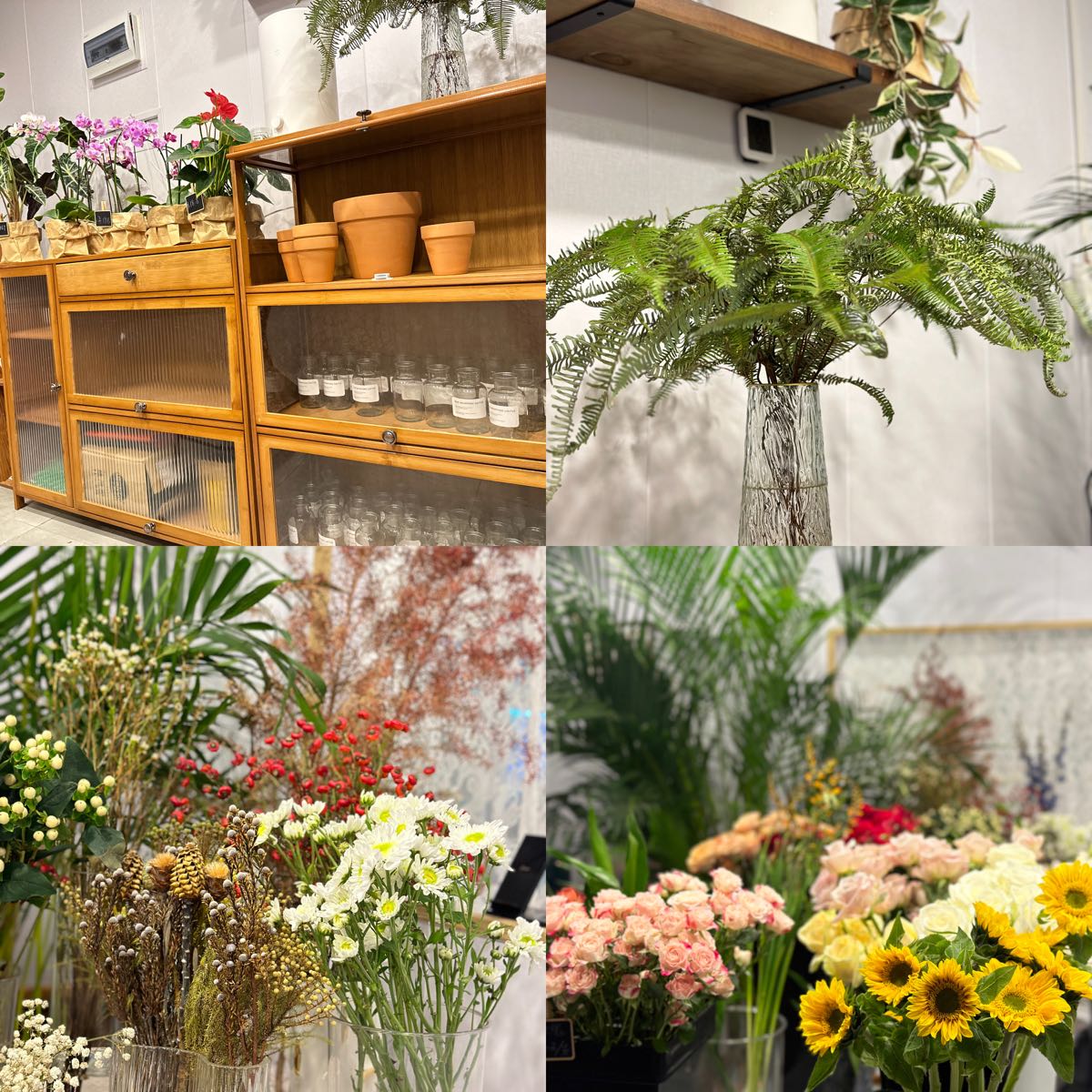 鹿邑县17flower花店