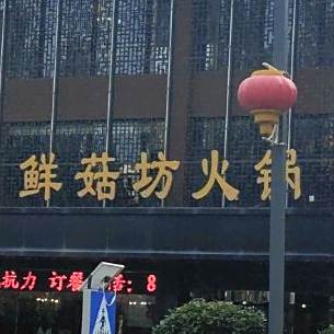 鲜菇坊活过