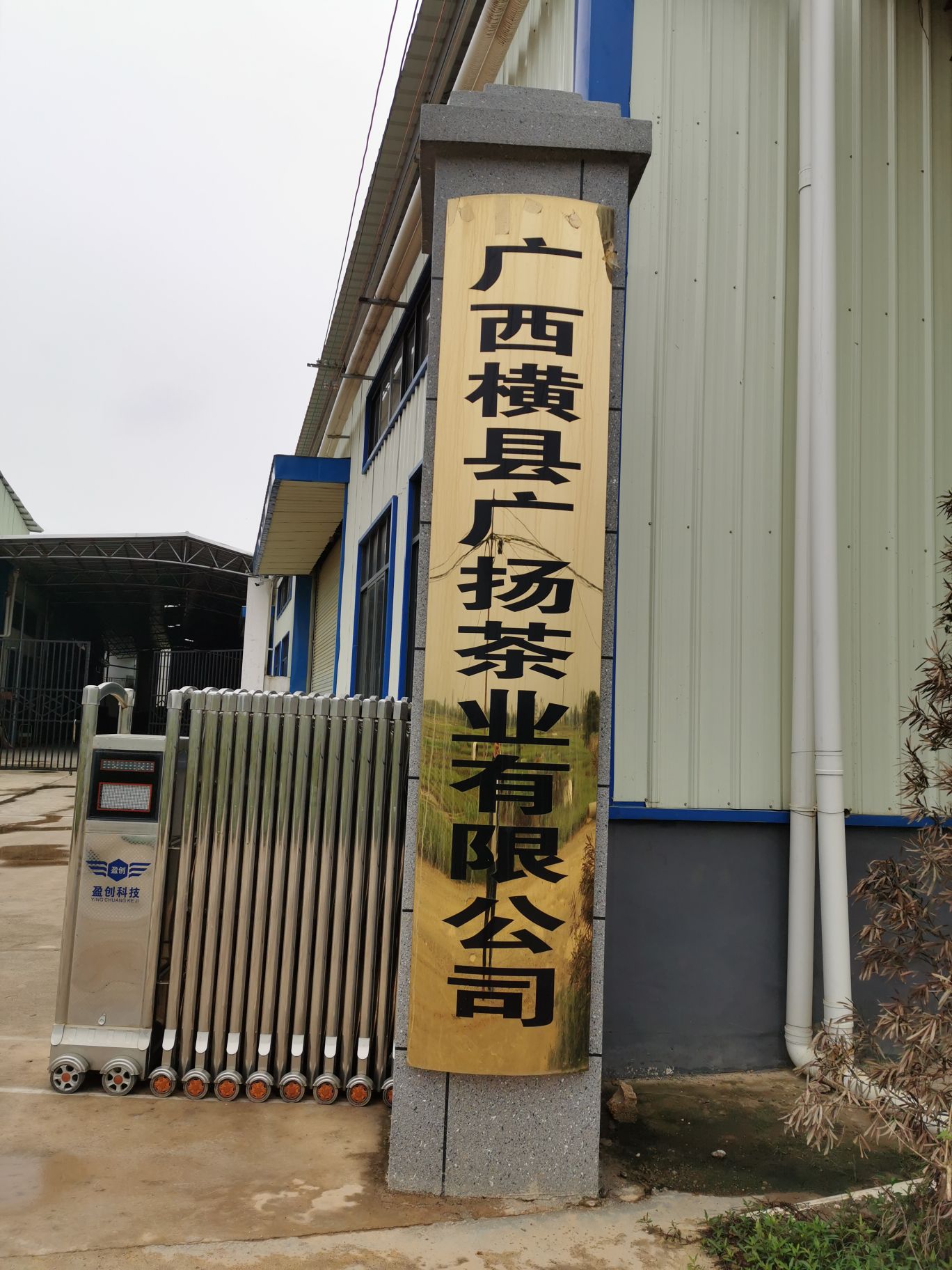 广西横县广扬茶叶有限公司