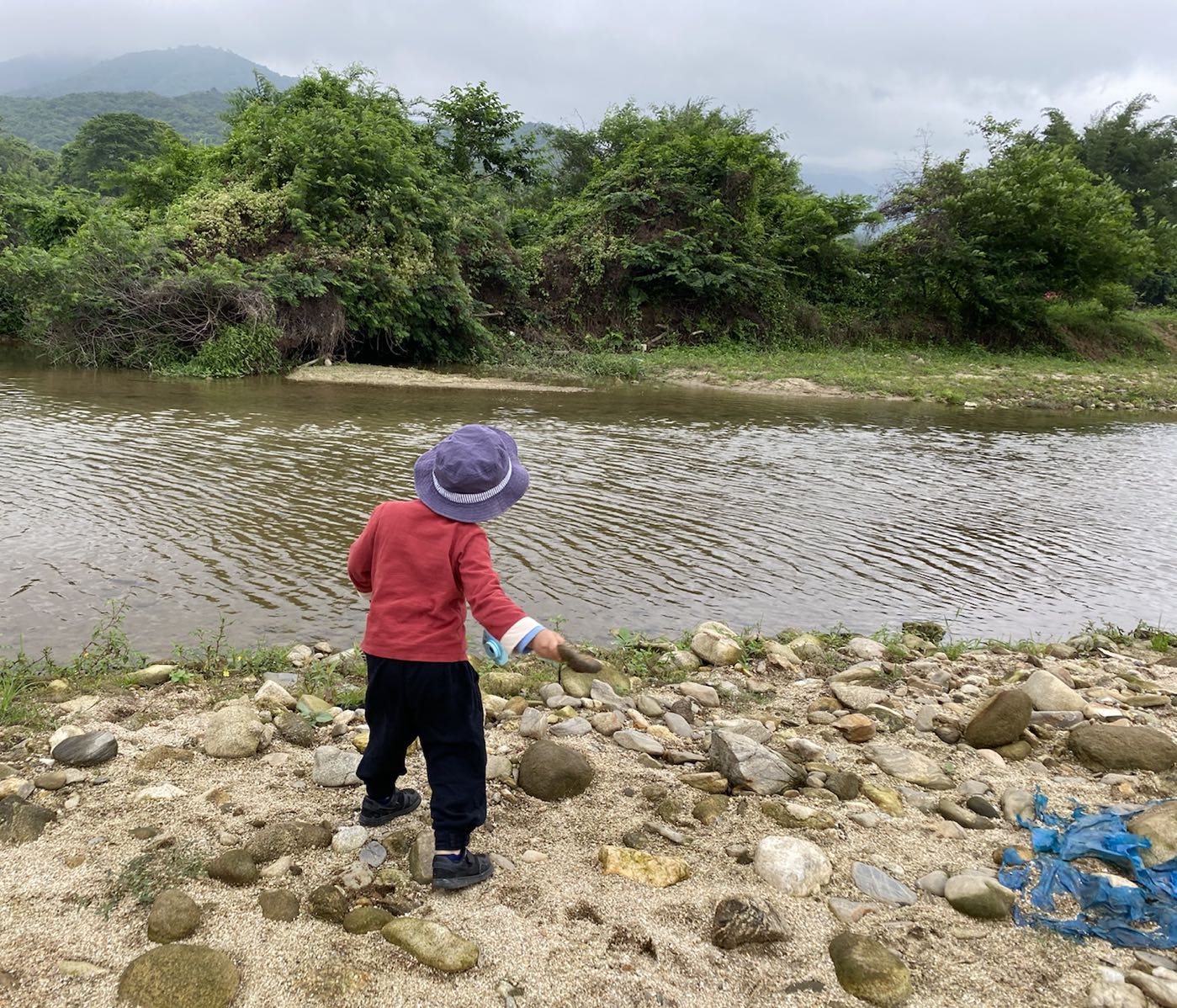 阳江市阳东区