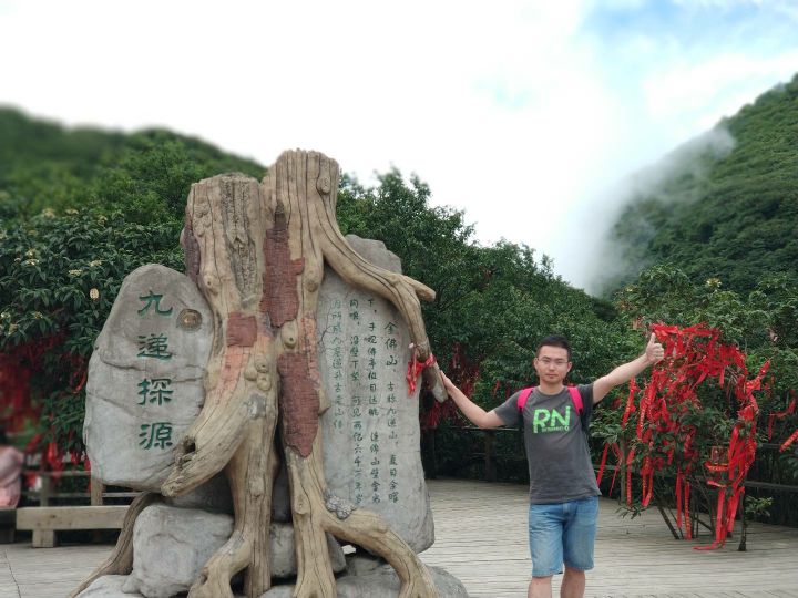 九递探源