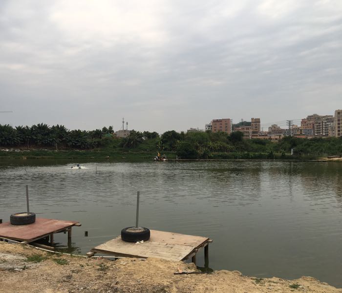 黄场振华钓场