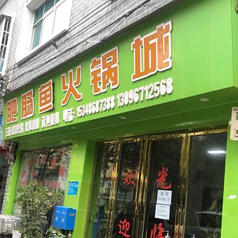 肥肠鱼火锅城