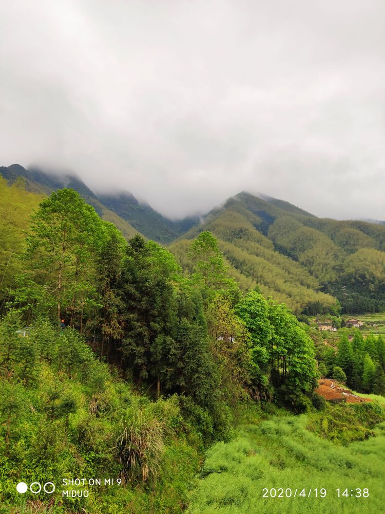 衢州市江山市