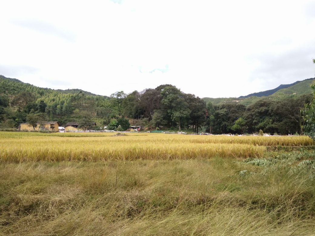 广东省清远市清新区