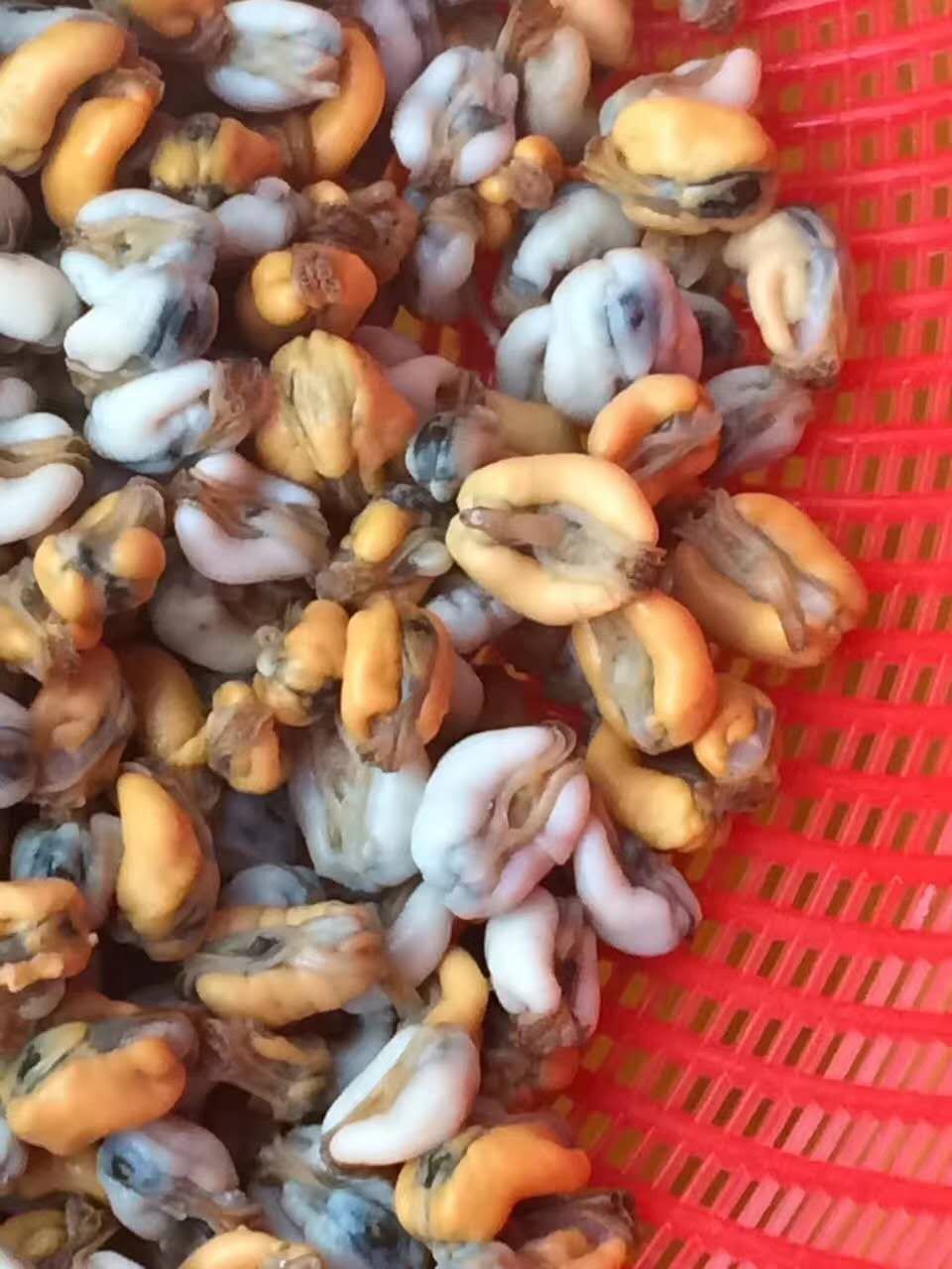 创辉水产品经营部