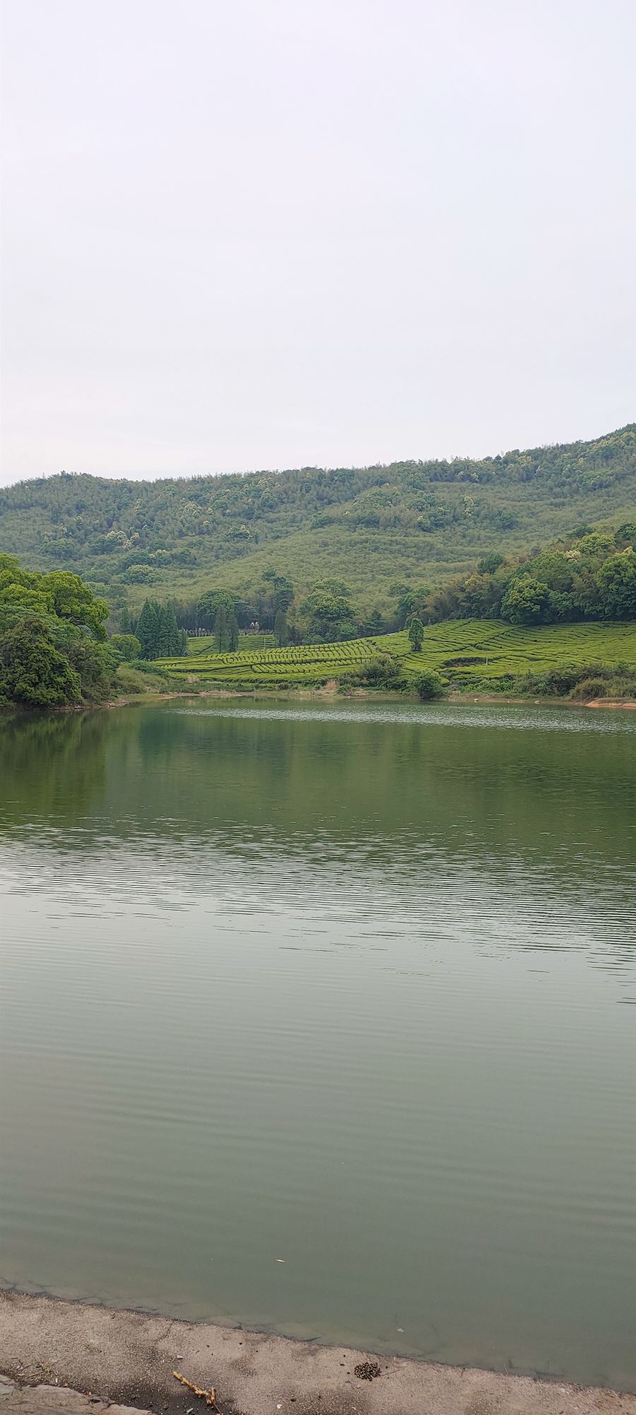 德清法华寺