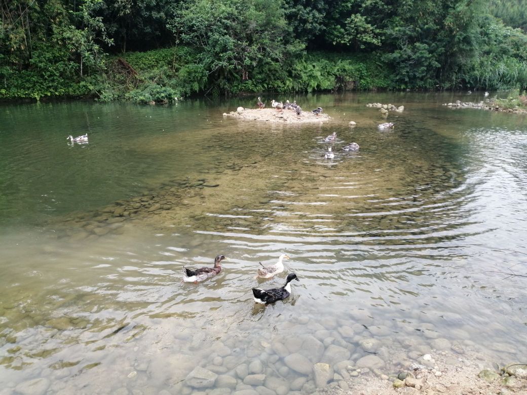 恩泉湾农庄(里洞店)