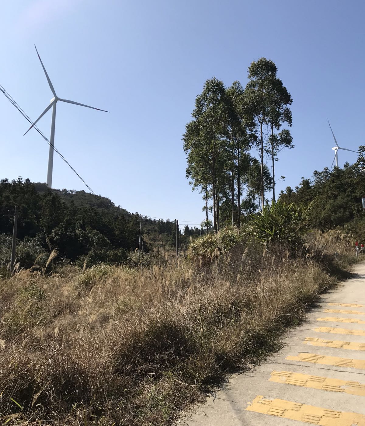 莆田市城厢区