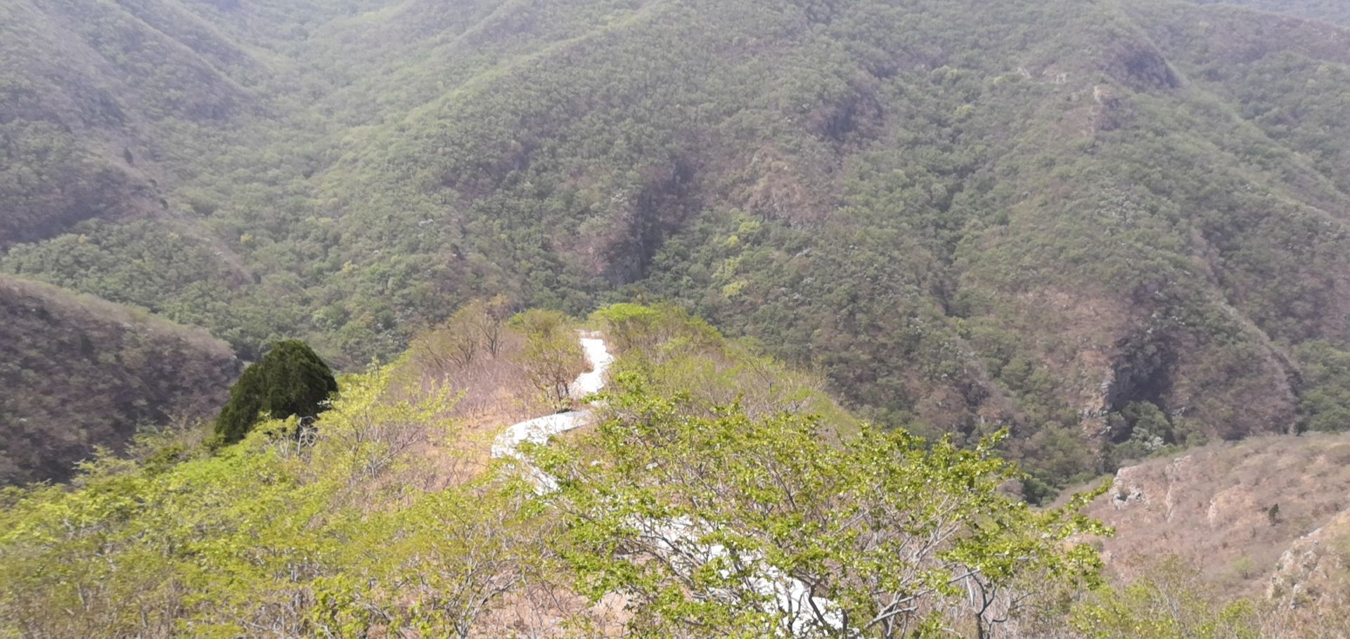 凤凰山下寺