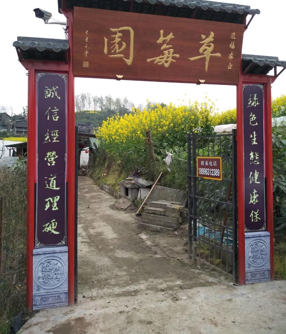 忠县迈福草莓园