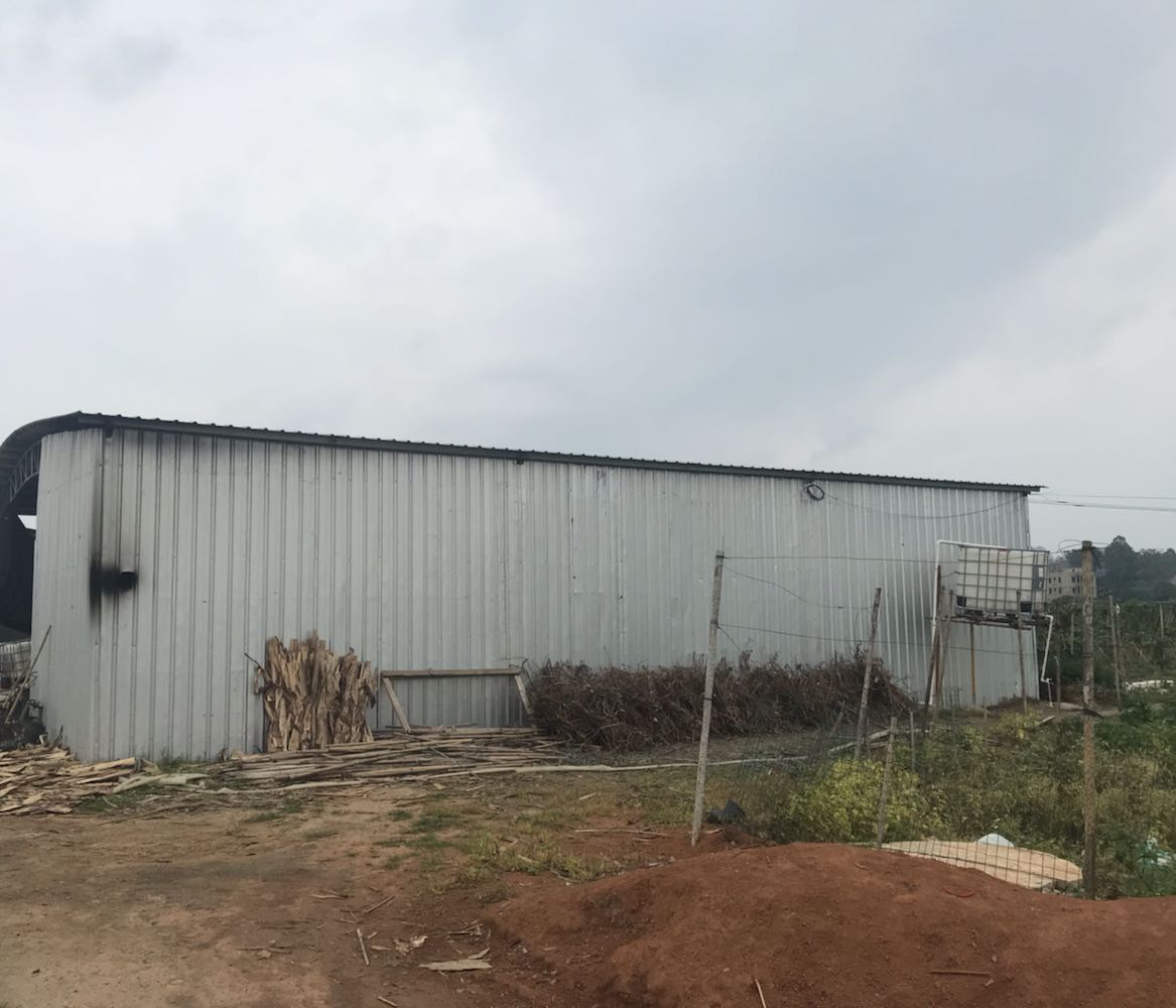 金灿灿黄金百香果产业基地