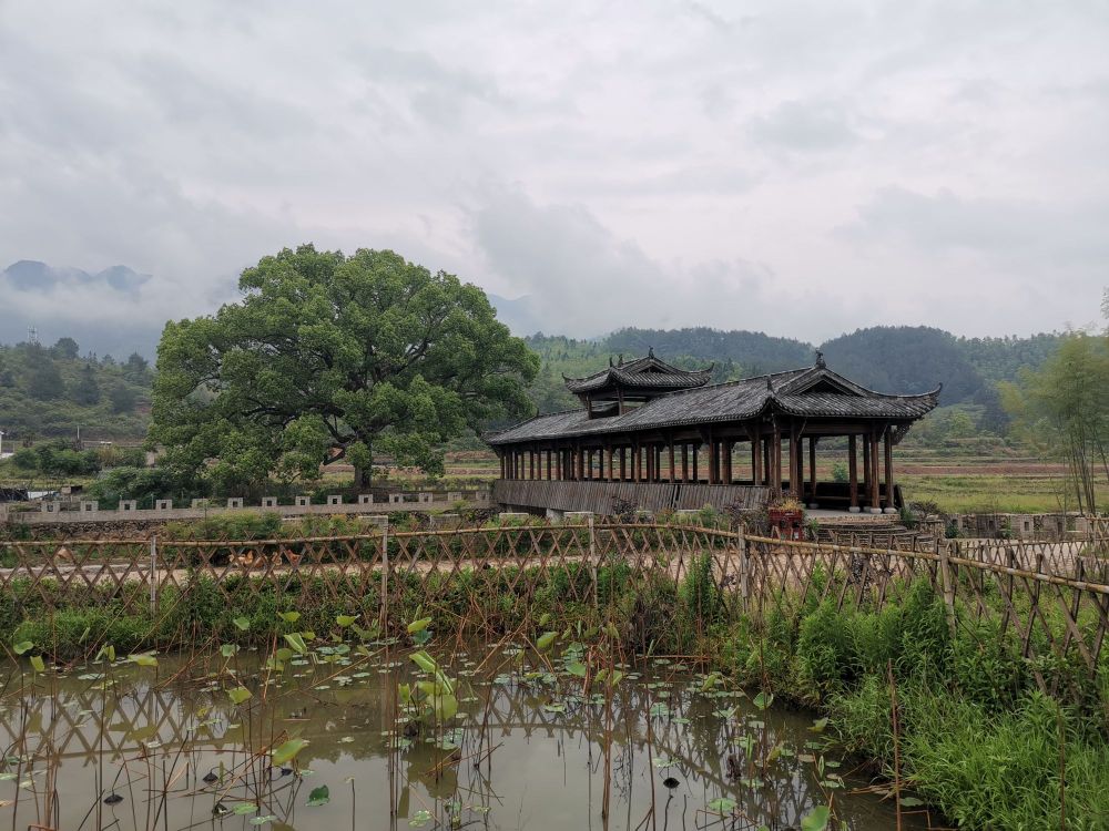 南平市浦城县