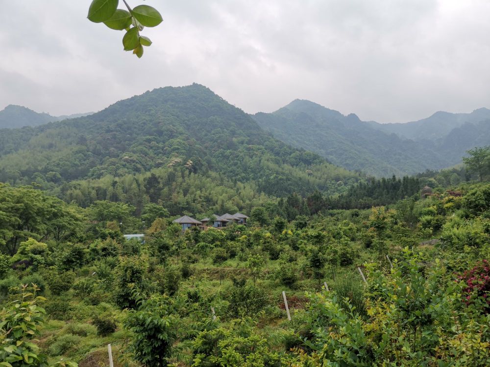 南平市浦城县