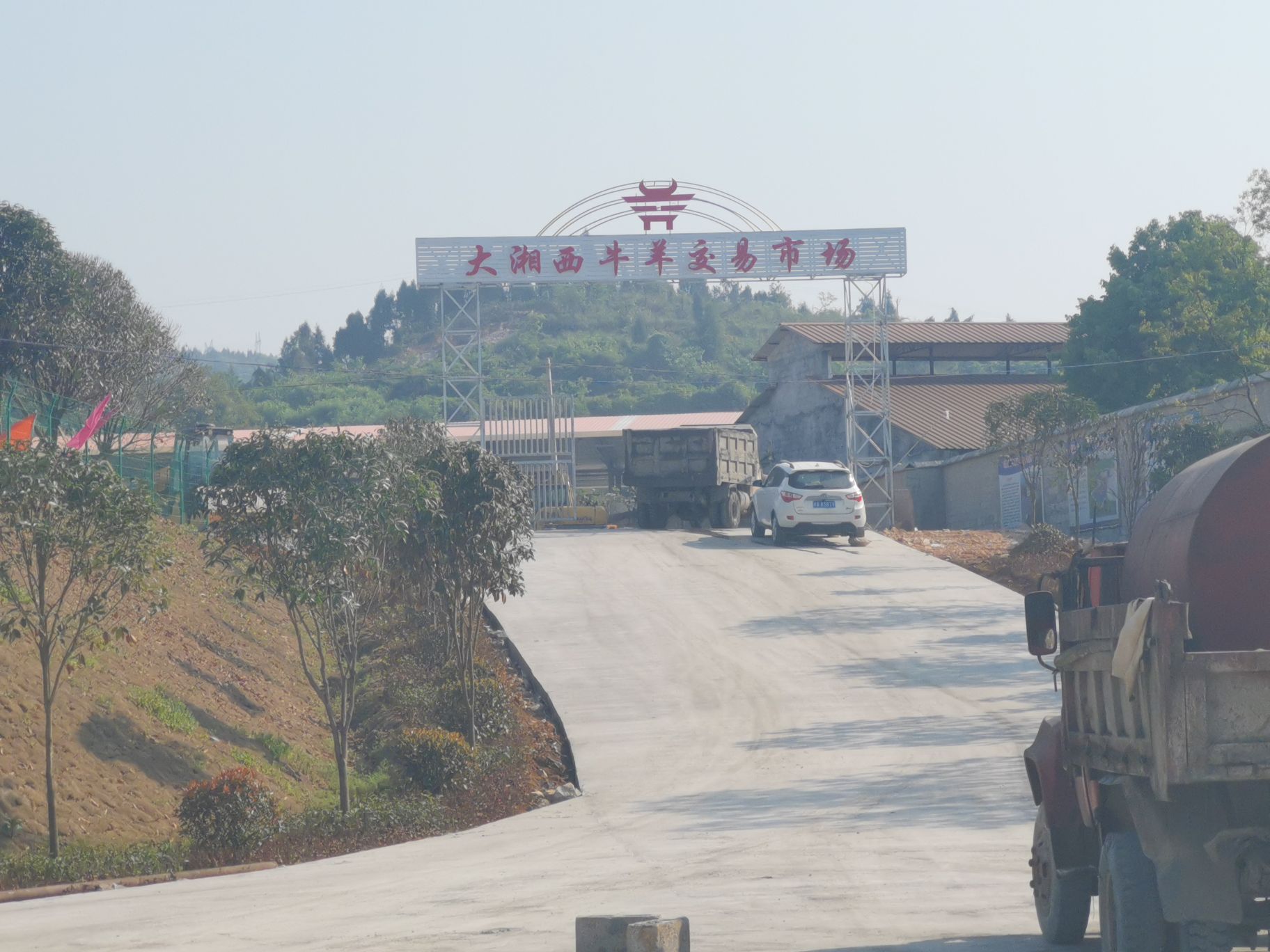 大湘西牛羊交易市场