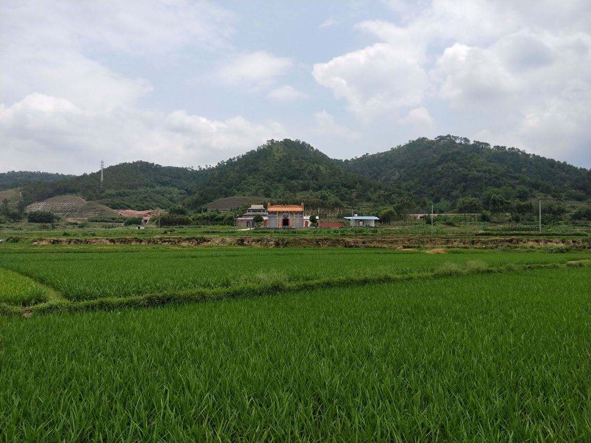 龙山大锅庙