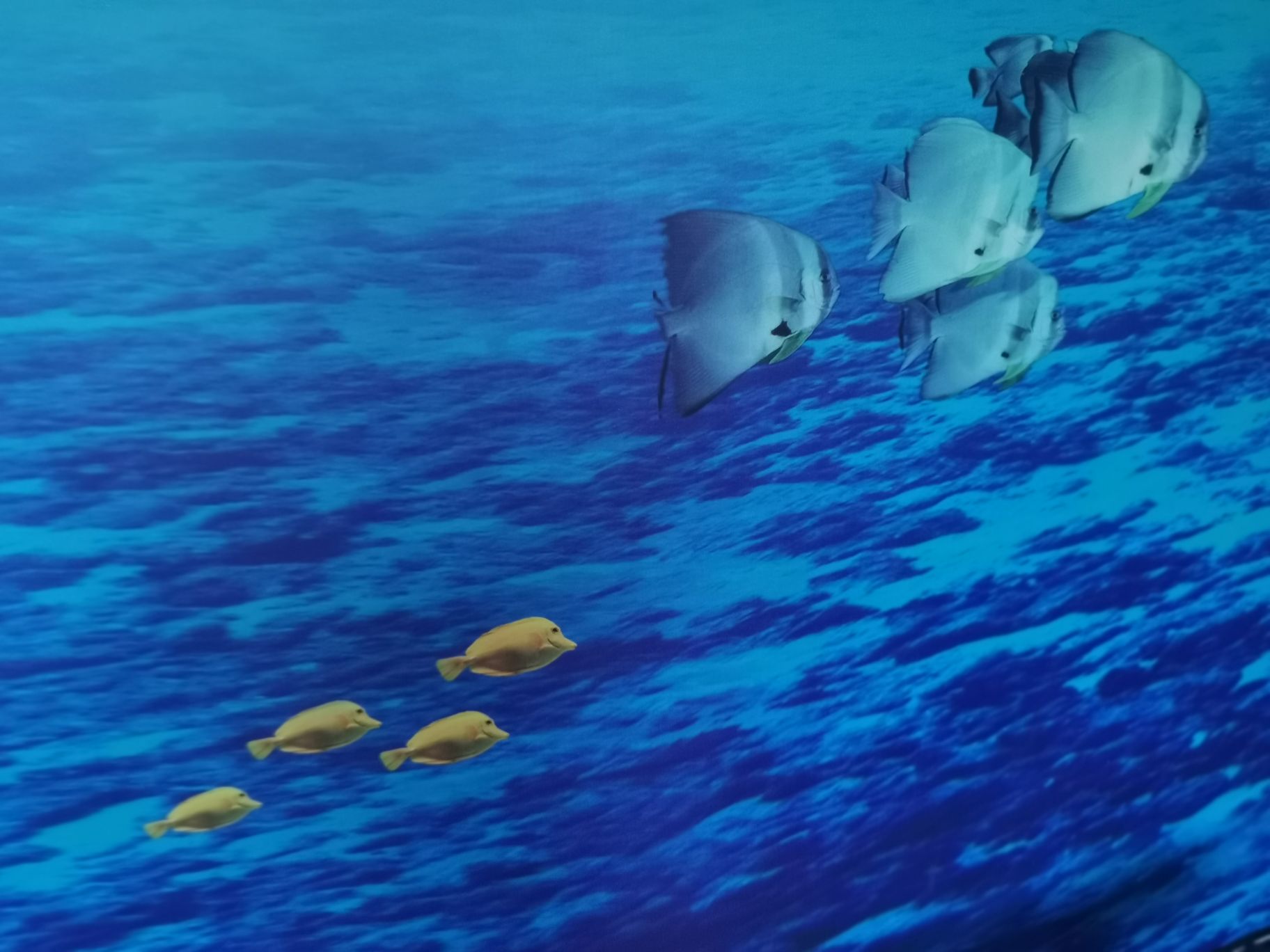 葫芦湾温泉