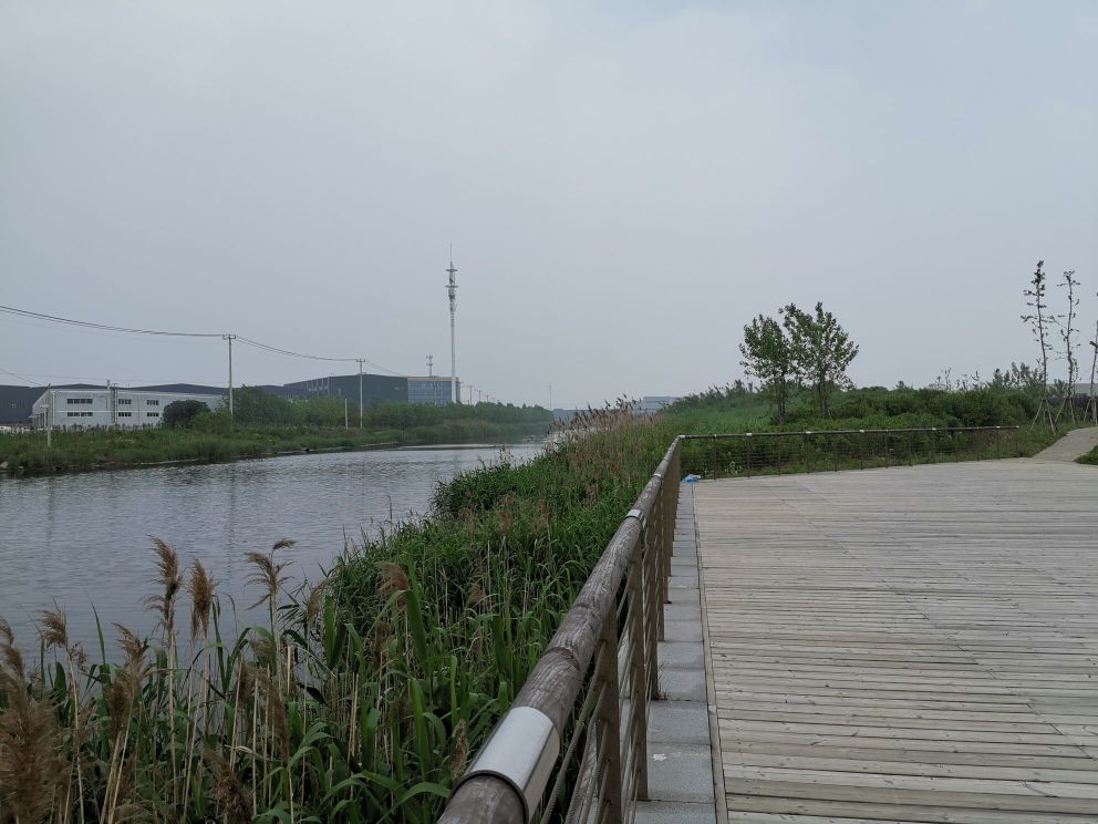 盐生植物园