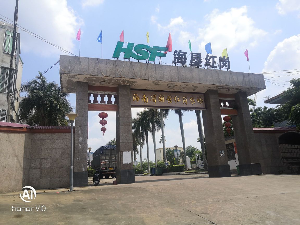 海南省国营红岗农场