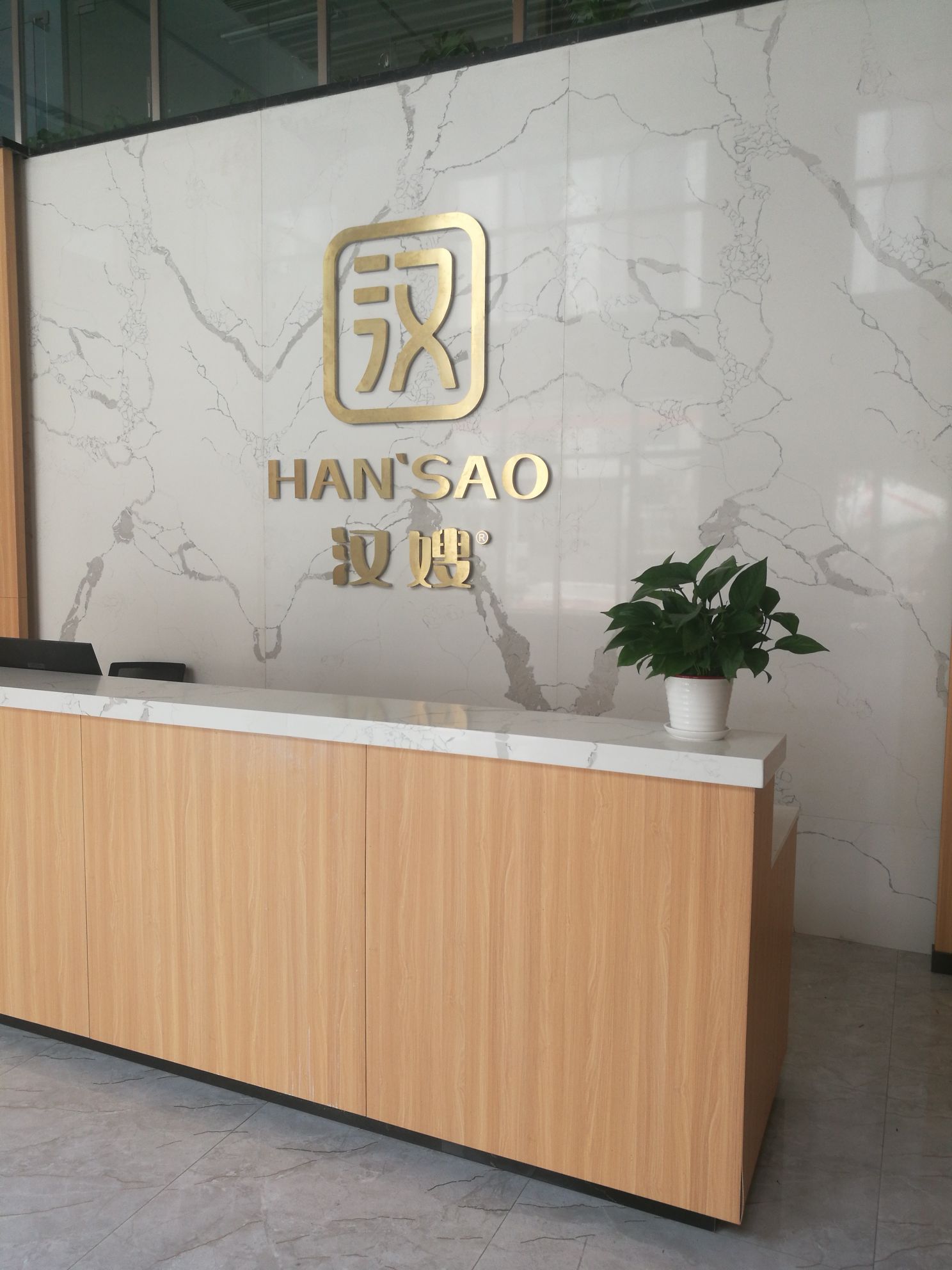 广东省汉嫂食品科技有限公司