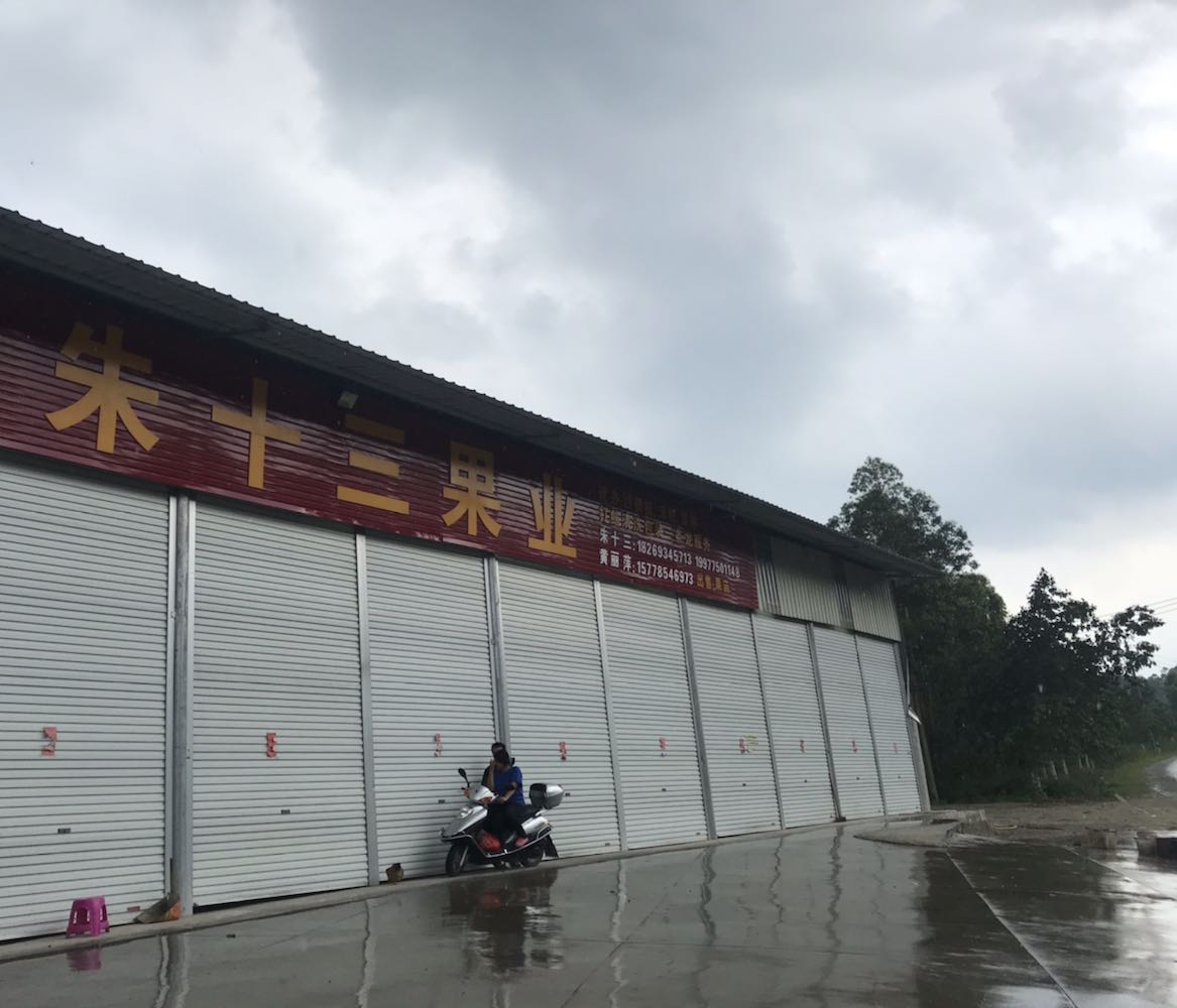 朱十三果业