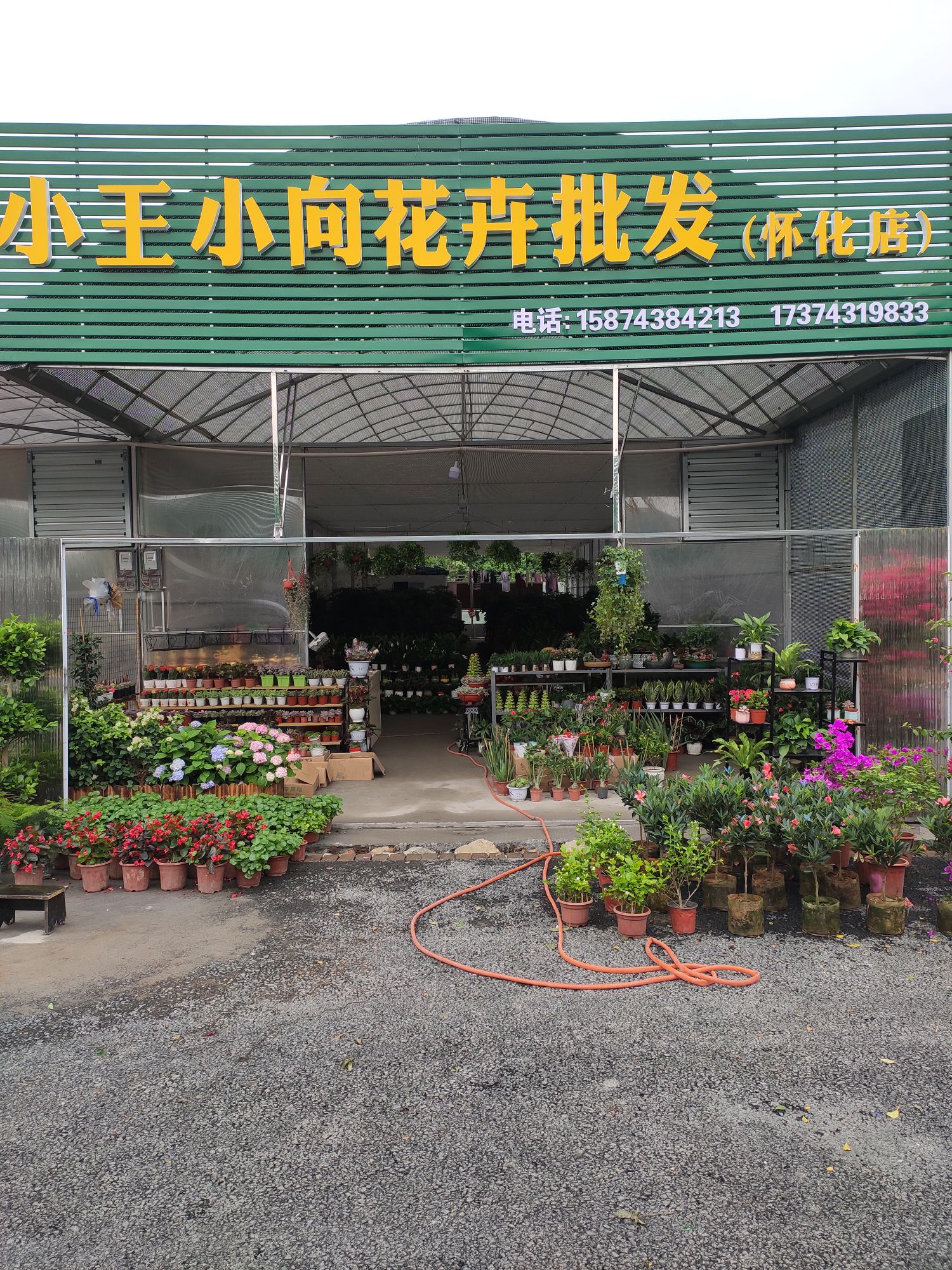 小王小向花卉批发(怀化店)