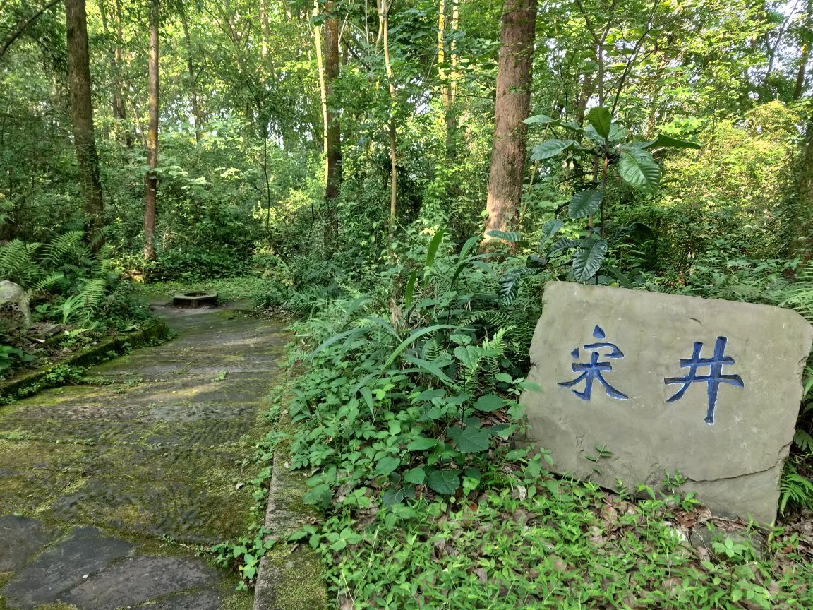 送井