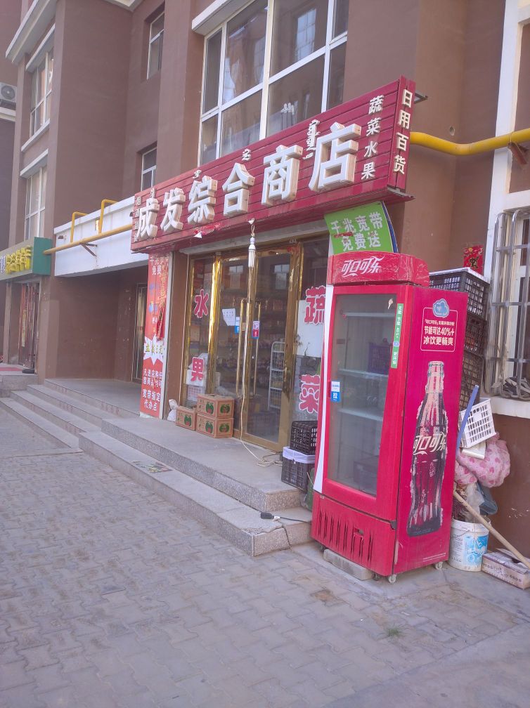 成发综合商店