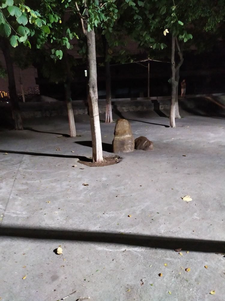 桂城街道健康主题平南公园